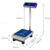 MSK-150S Electric Scales